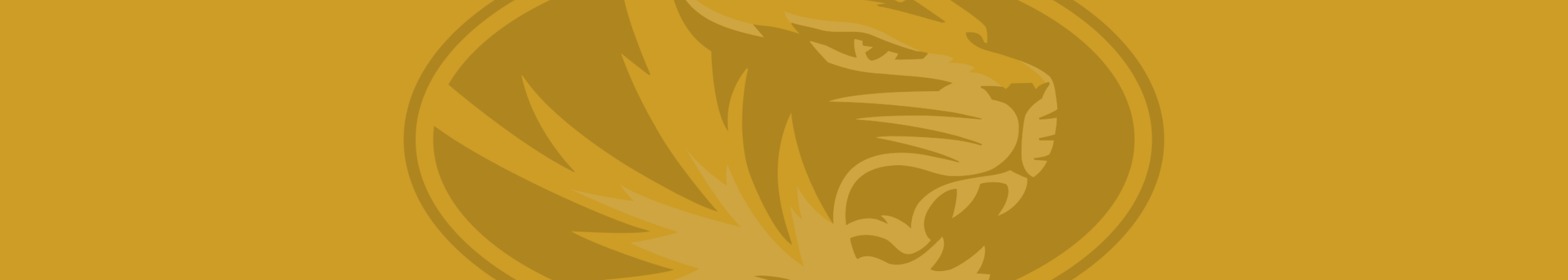 Missouri Tigers Banner